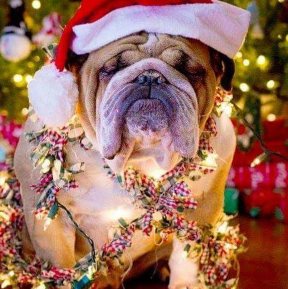 Meet your Posher, Katherine - Picture 3 of 4